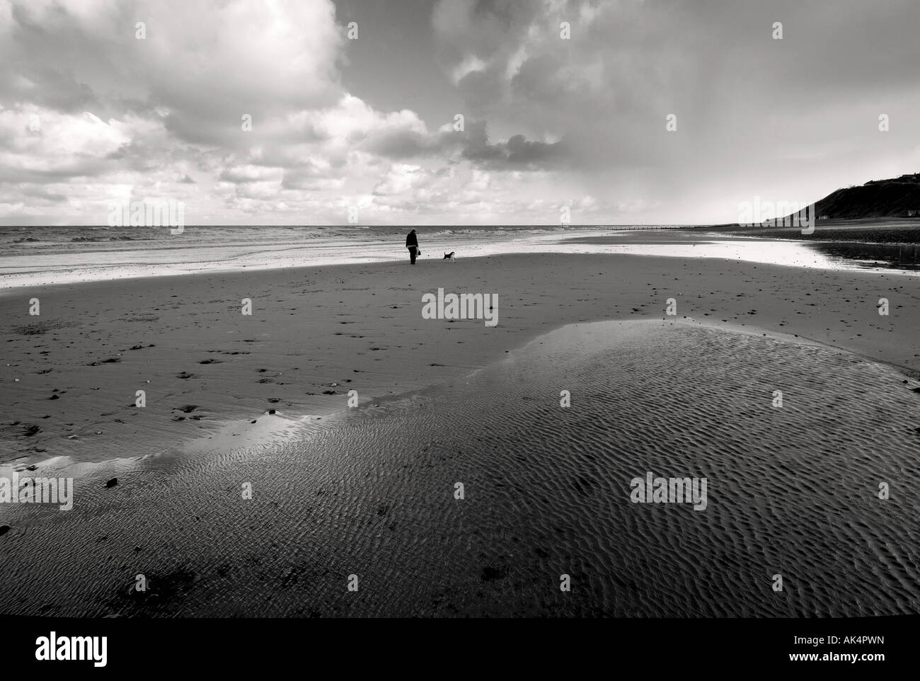 Un marcheur passe ses chiens sur la plage de squally conditions avec reflets dans l'eau en mono à Cromer, Norfolk, UK Banque D'Images