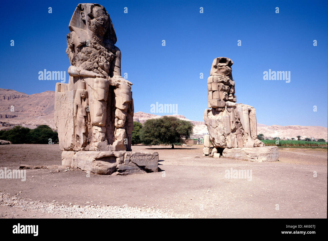 Colosses de Memnon / Ouest Theben Banque D'Images