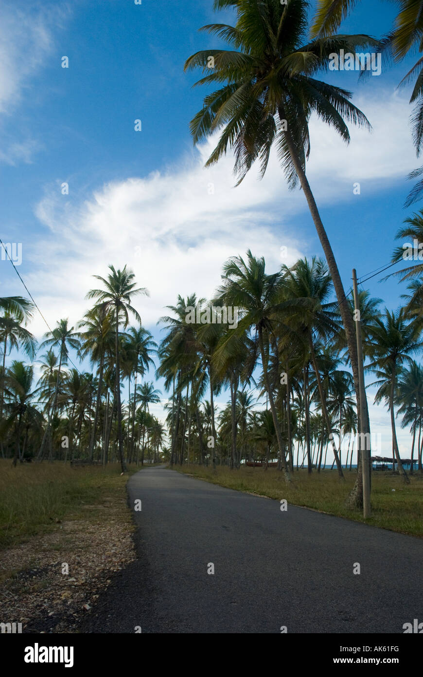 Route par la plage vacants Banque D'Images