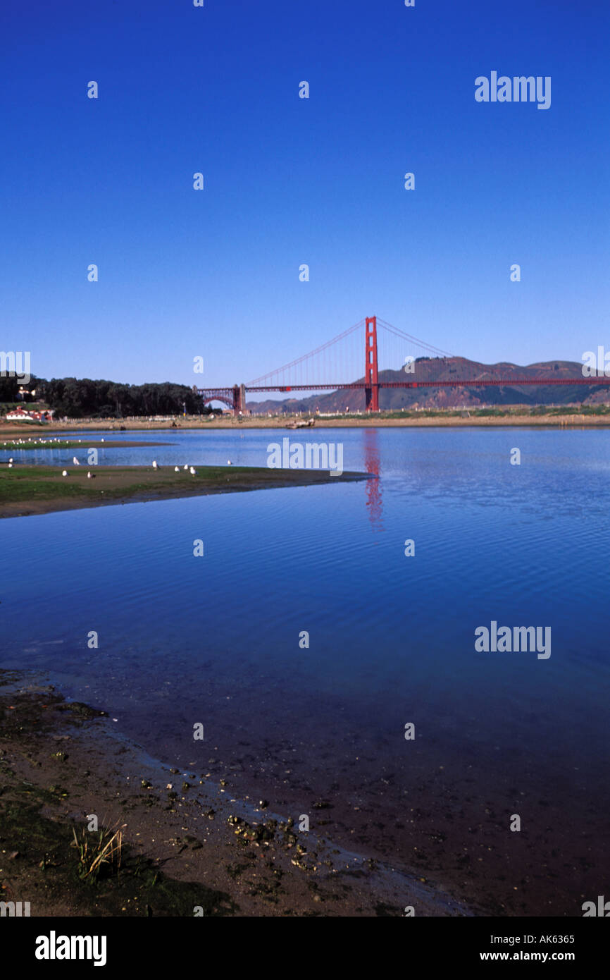 La Californie, San Francisco, Crissy Field, GGNRA, marais salé Banque D'Images