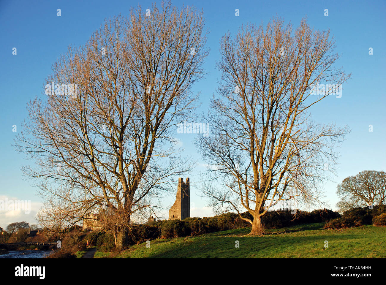 Le clocher de St Mary's Abbey (connu sous le nom de 'Yellow Steeple'),Trim, Co Meath, Irlande. Banque D'Images
