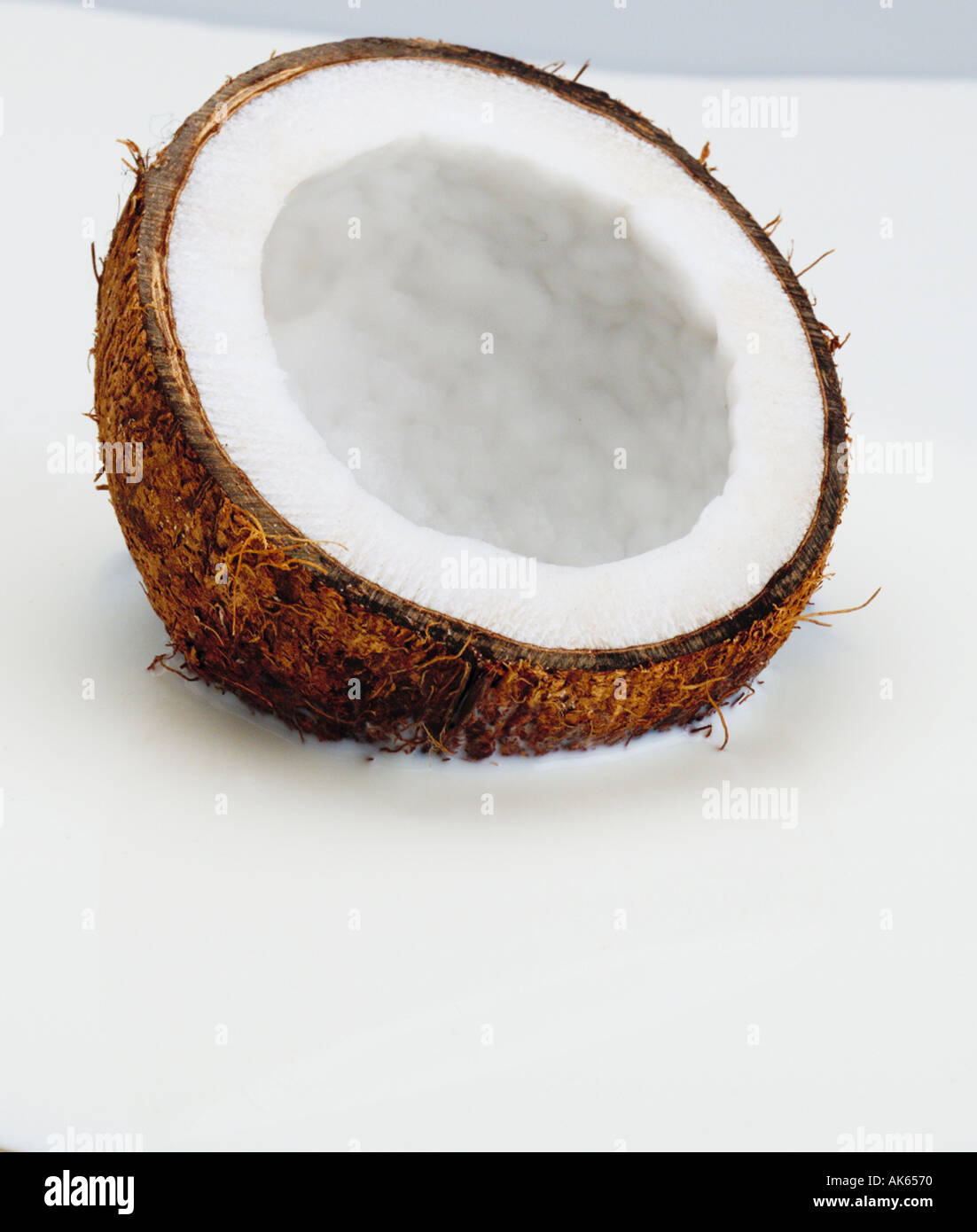Dans le lait de noix de coco Cocos nucifera dans Kokosnuss Fruechte Milch Frucht fruit Pflanzen plants Palmengewaechse Arecaceae Hochformat Banque D'Images