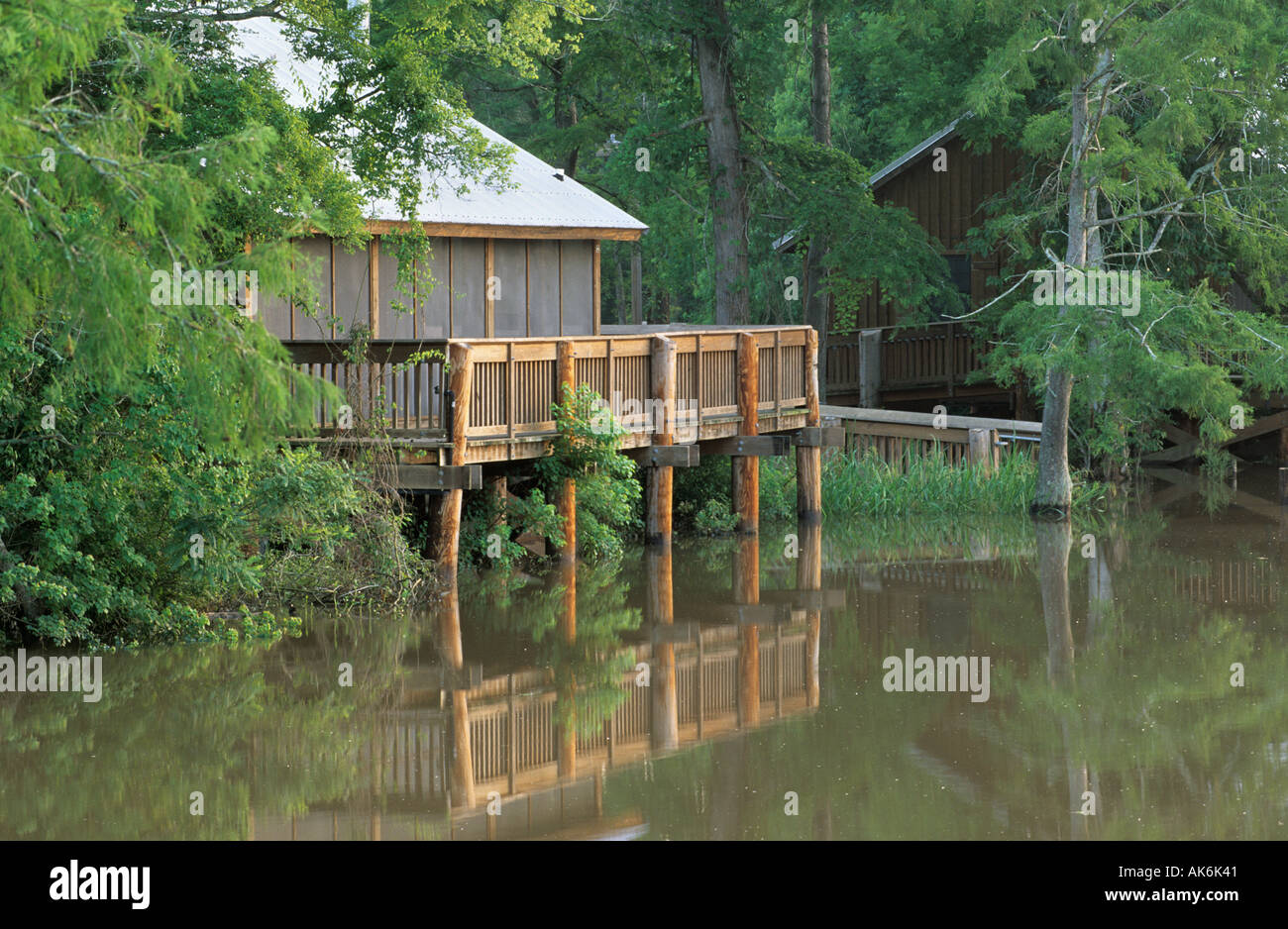 Cabane à Bayou Teche à Fausse Point State Park Banque D'Images