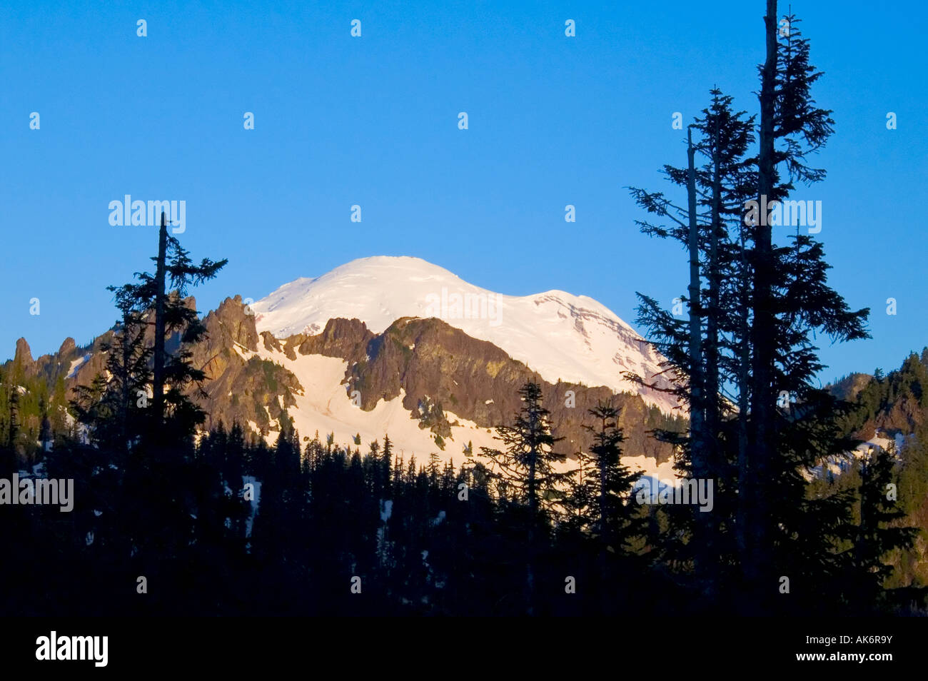 Le mont Rainier de Chinook Col Banque D'Images