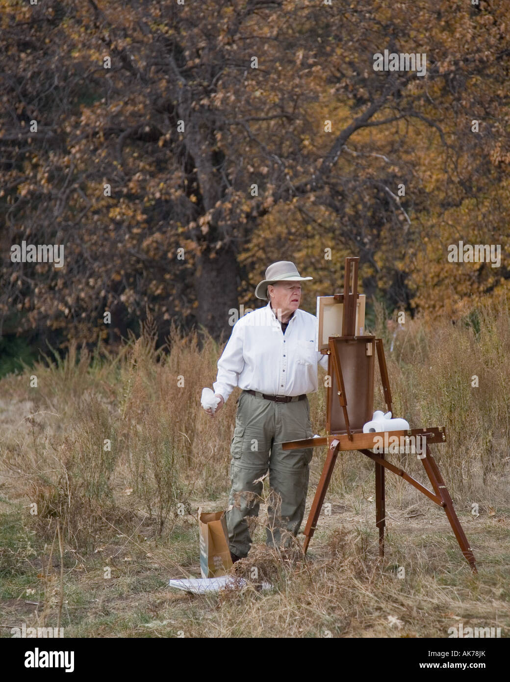 La peinture de l'artiste dans le pré Banque D'Images