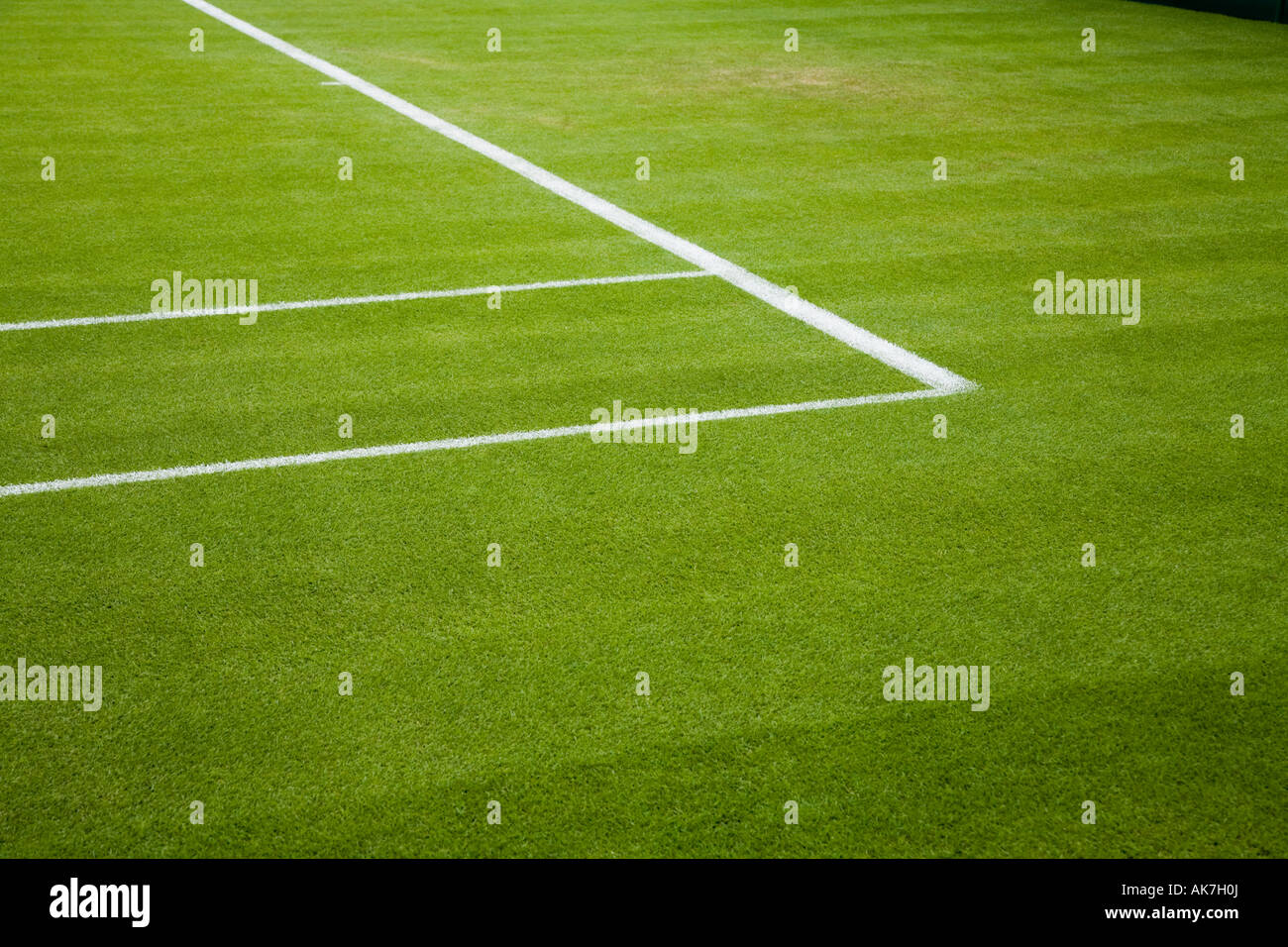 Court de tennis sur gazon de Wimbledon Tennis Championship UK Banque D'Images