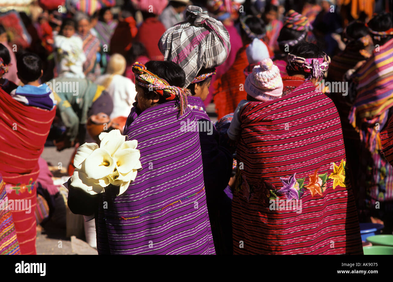 Les femmes à la vente de fleurs du marché Zunil hautes terres du Guatemala Guatemala Quezaltenango nr Banque D'Images