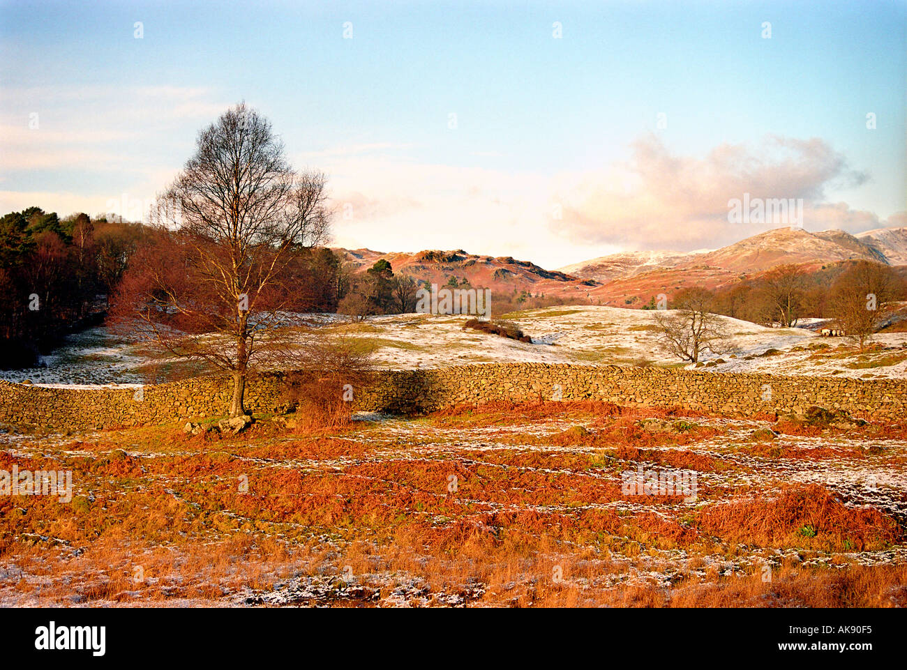 L'hiver, paysage, Lake District, Cumbria, England, UK Banque D'Images