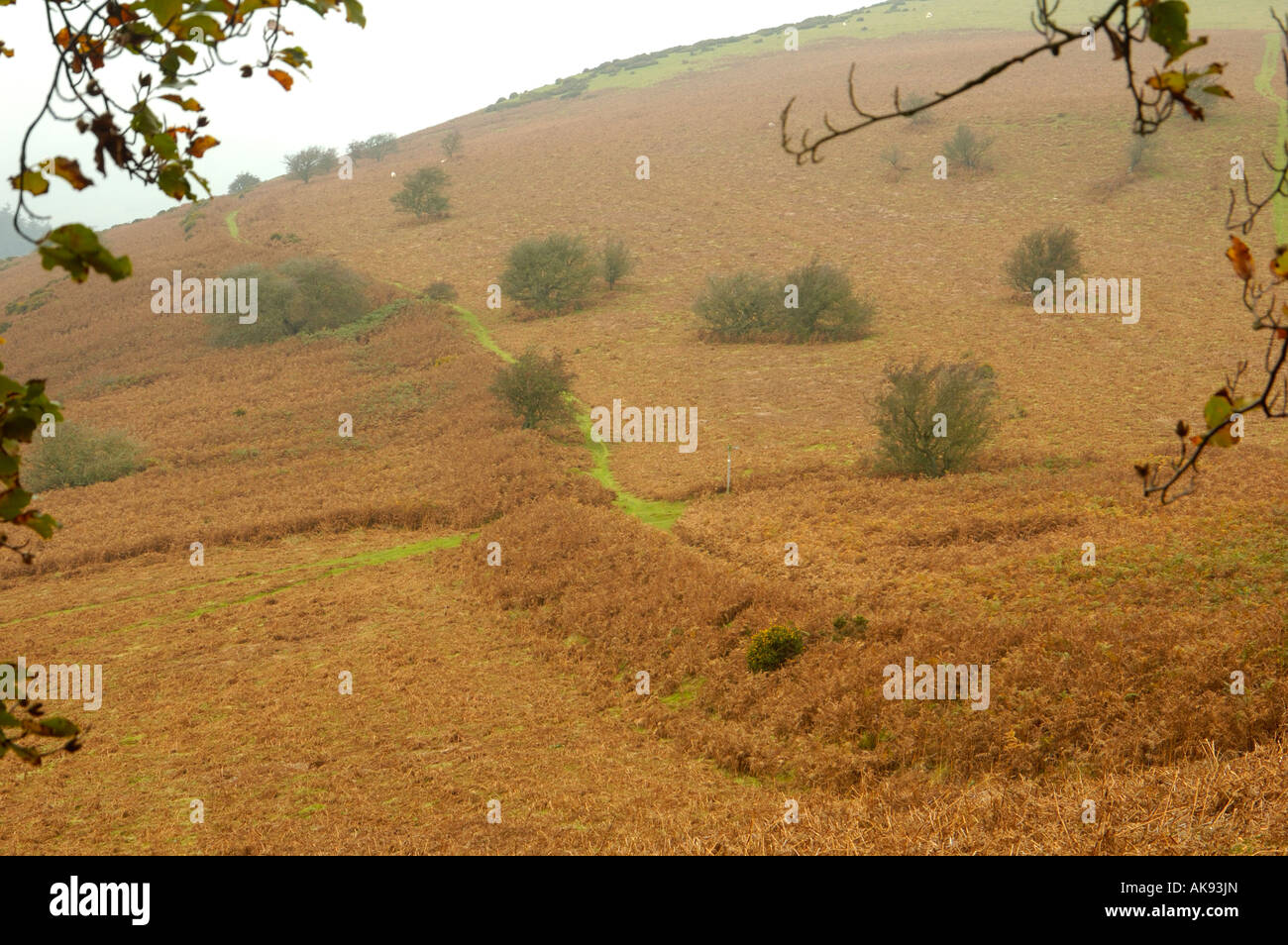 Offa's Dyke sur Herrock Hill Banque D'Images