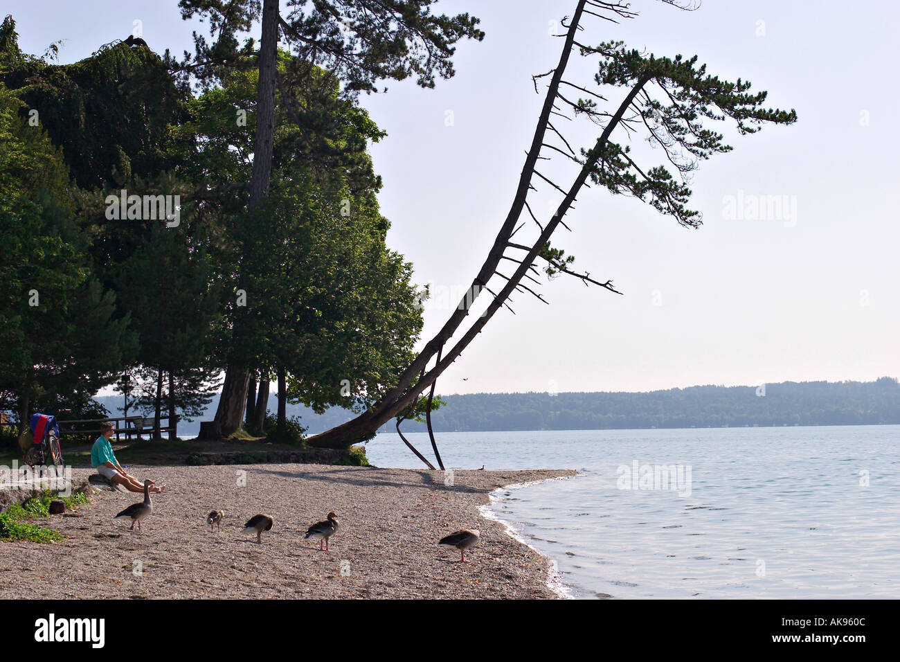 Le lac de Starnberg Starnberg en Haute-bavière Banque D'Images