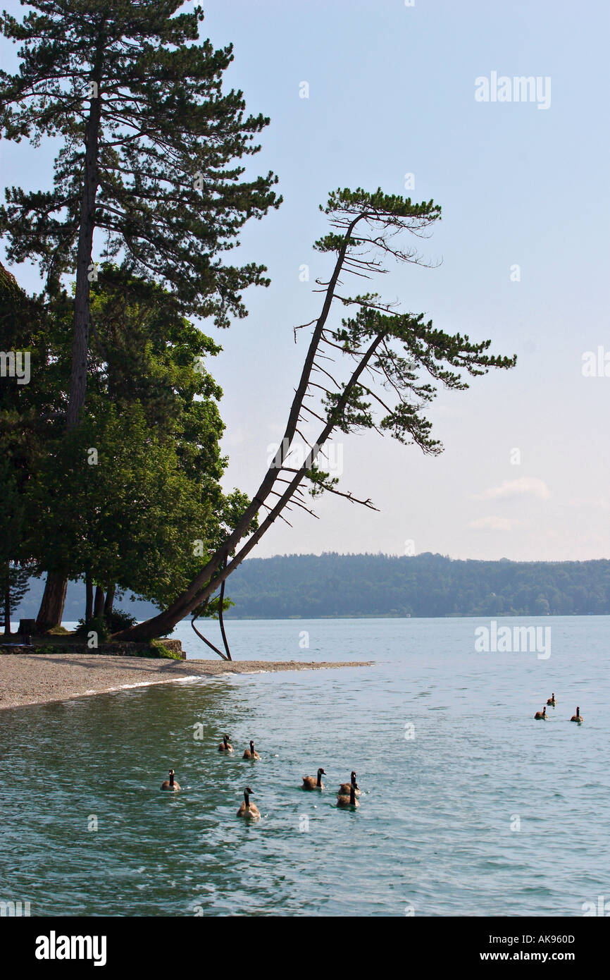Le lac de Starnberg Starnberg en Haute-bavière Banque D'Images