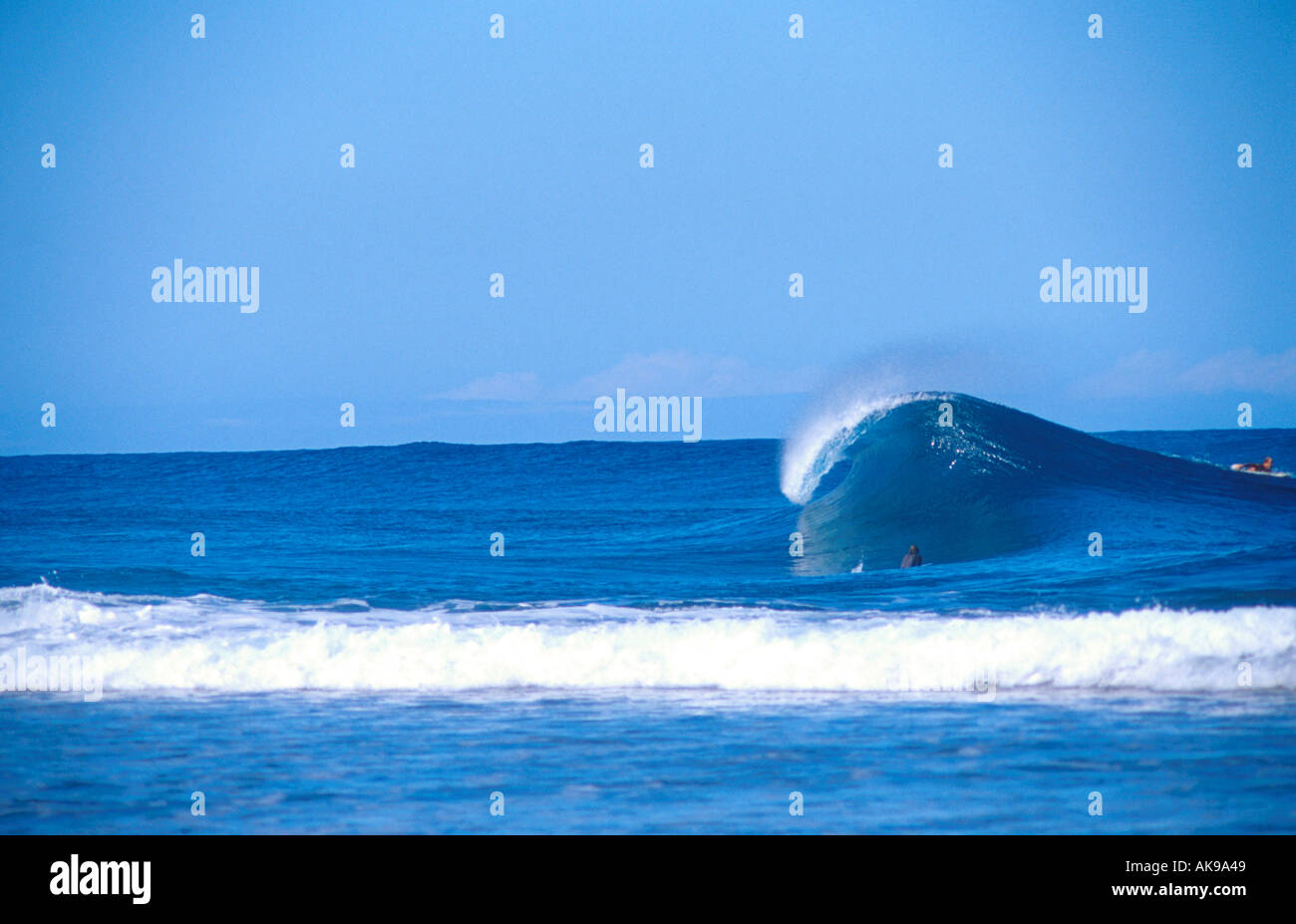 La boucle de surf une vague à Hawaï Banque D'Images