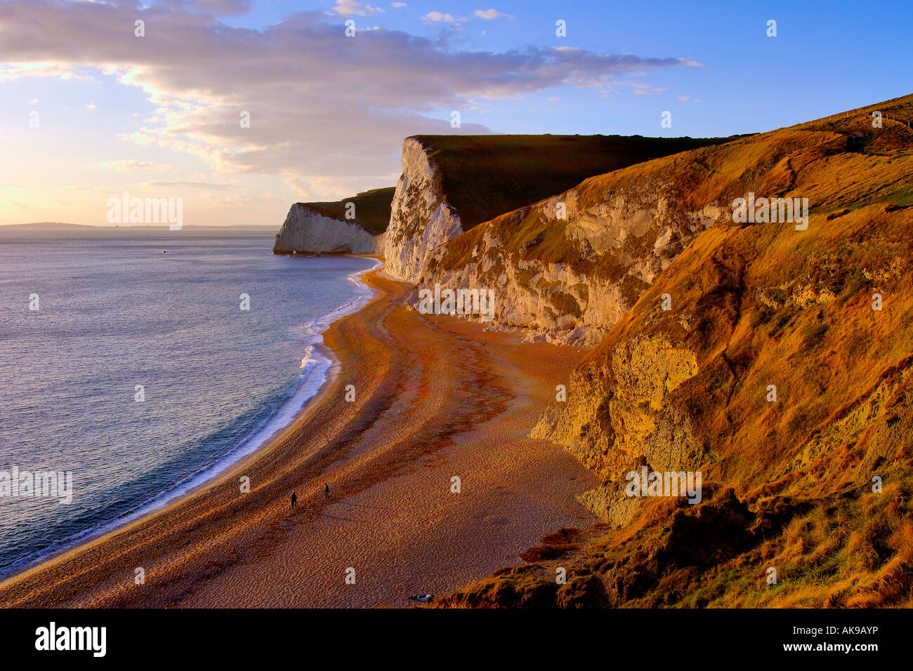 Juste avant le coucher du soleil sur la côte du Dorset à l'ouest de Durdle Door vers Swyre et tête à tête chauve-souris Banque D'Images