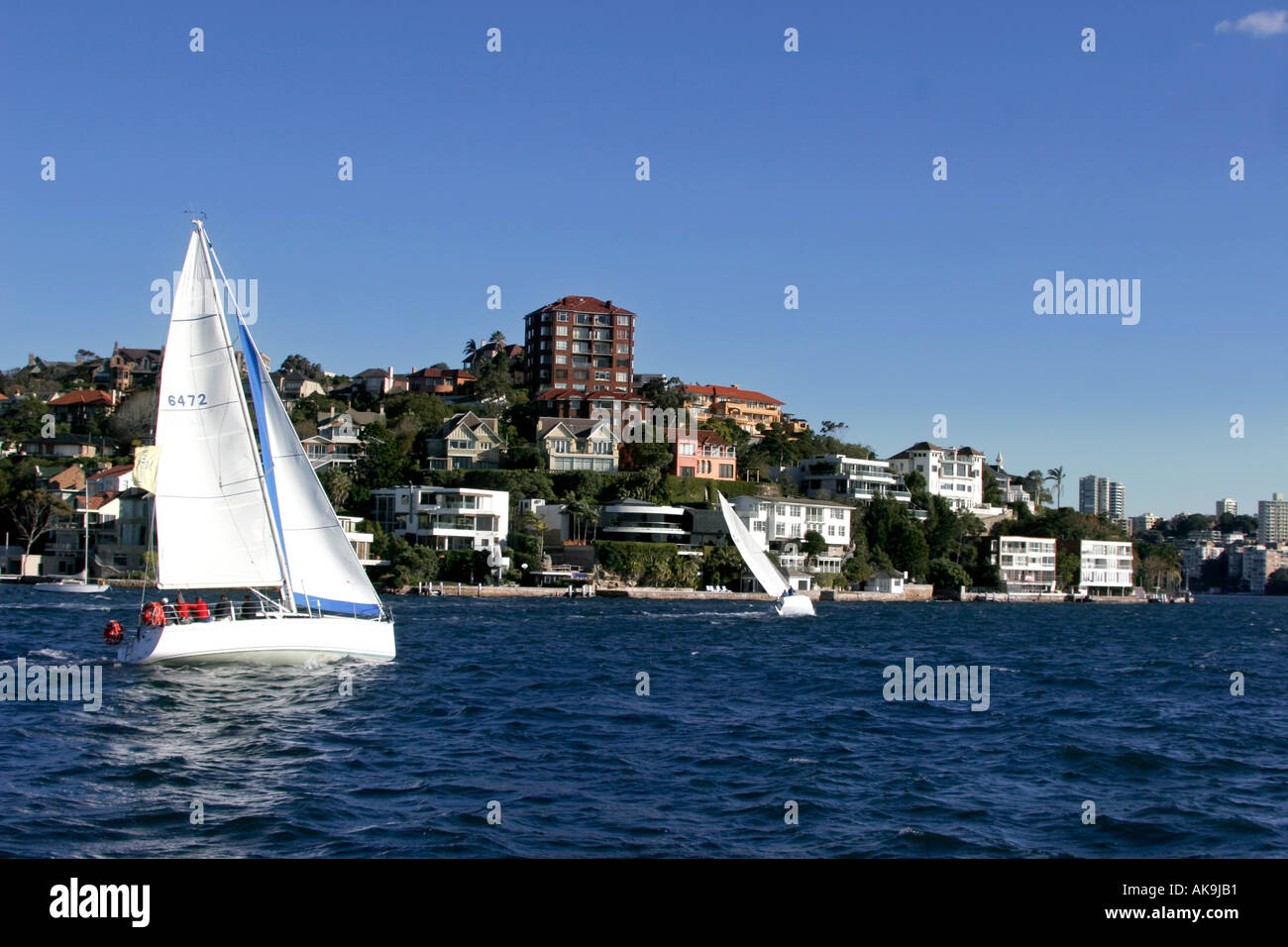 Yachting au large de Point Piper Le Port de Sydney Banque D'Images