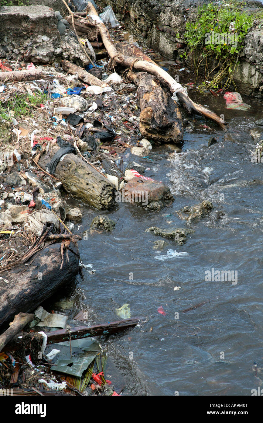 La pollution de l'eau sur une côte à Colon Province de Panama Portobelo Banque D'Images