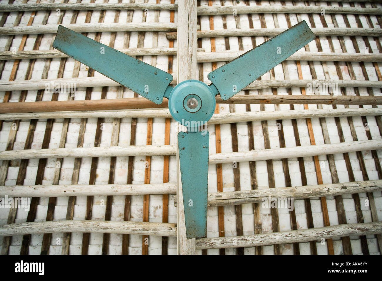 Ventilateur de plafond, low angle view Banque D'Images