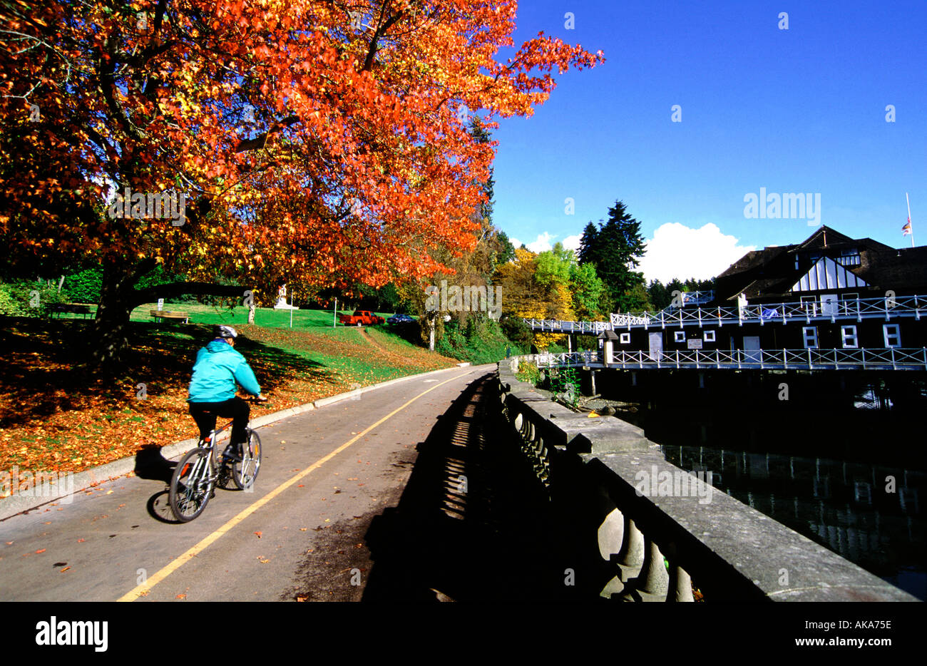 Randonnée à vélo dans le parc Stanley. Vancouver. La Colombie-Britannique. Canada Banque D'Images