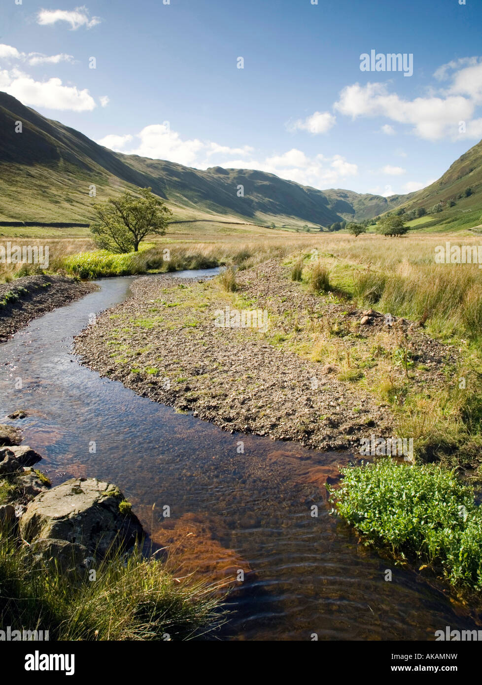 Vue vers le bas de la vallée de Boardale Boredale avec Beck Parc National de Lake District Cumbria Banque D'Images