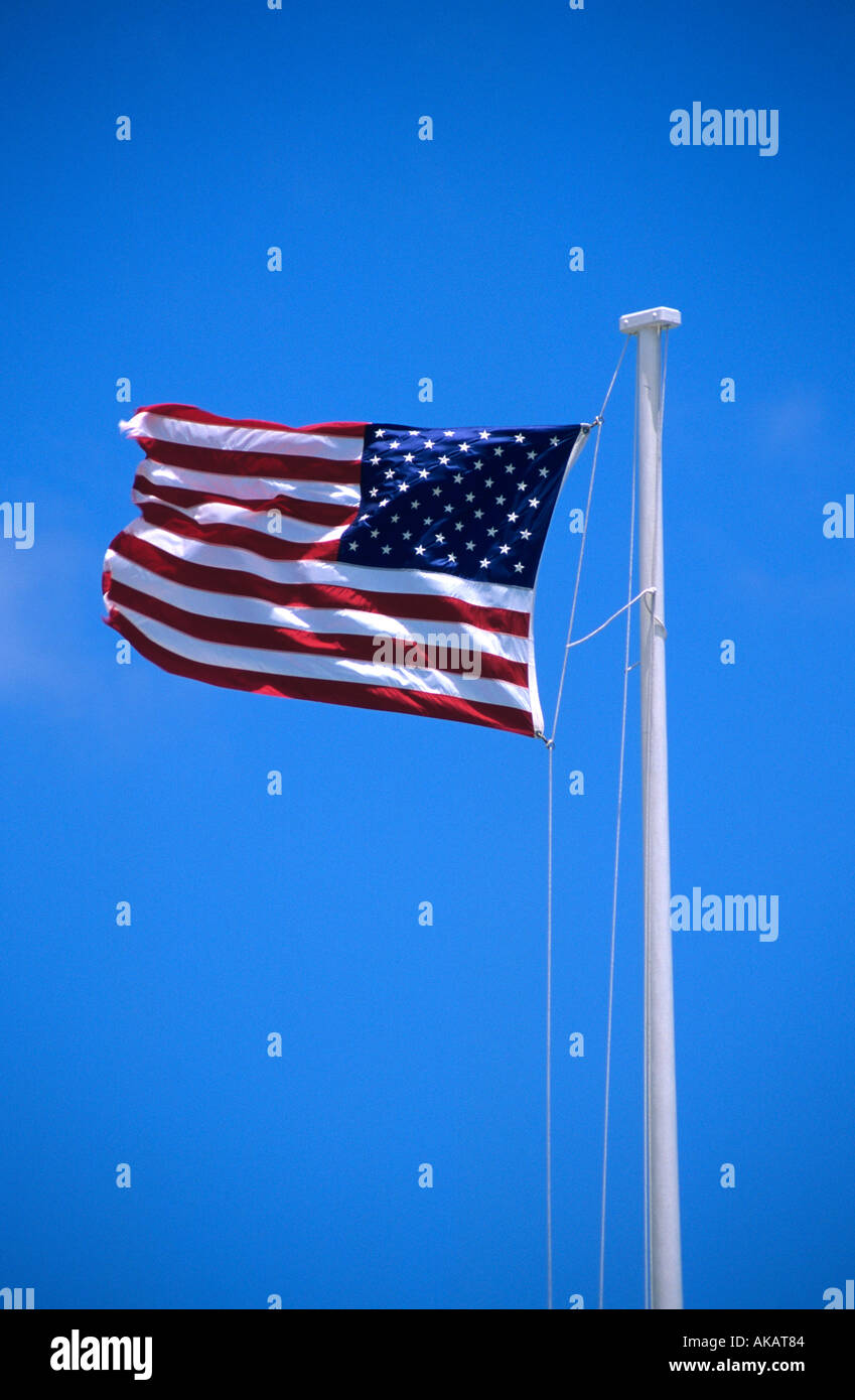 Drapeau des États-Unis d'Amérique Banque D'Images