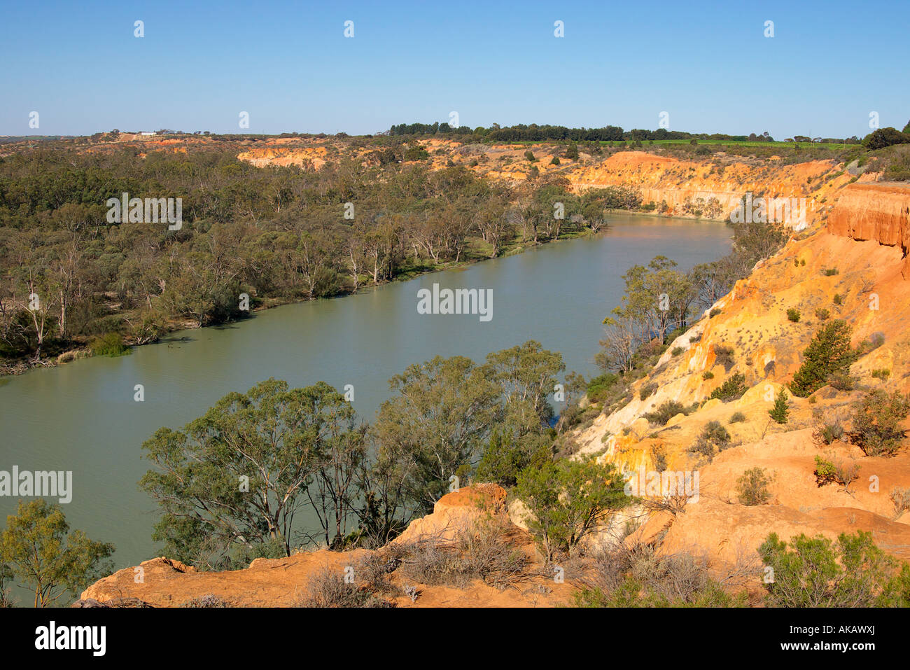 Regardant vers le bas sur la rivière Murray à renmark Australie du Sud Banque D'Images