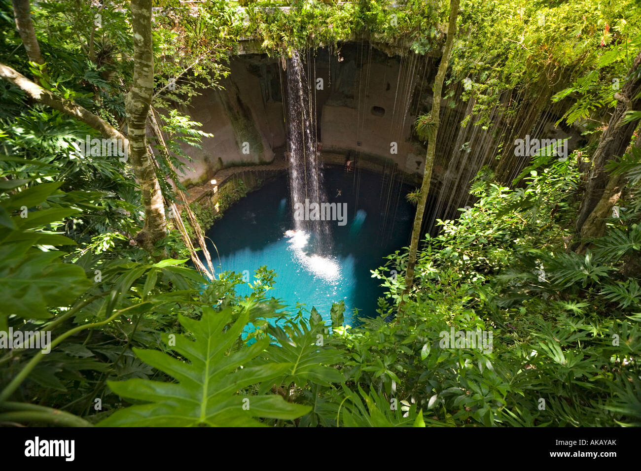 Un grand angle d'une photo de l'Ik-Kil Cenote (Yucatán, Mexique). Vue plongeante sur le Cenote Ik-Kil (Yucatán - Mexique). Banque D'Images Un grand angle d'une photo de l'Ik-Kil Cenote (Yucatán, Mexique). Vue plongeante sur le Cenote Ik-Kil (Yucatán - Mexique). Banque D'Images