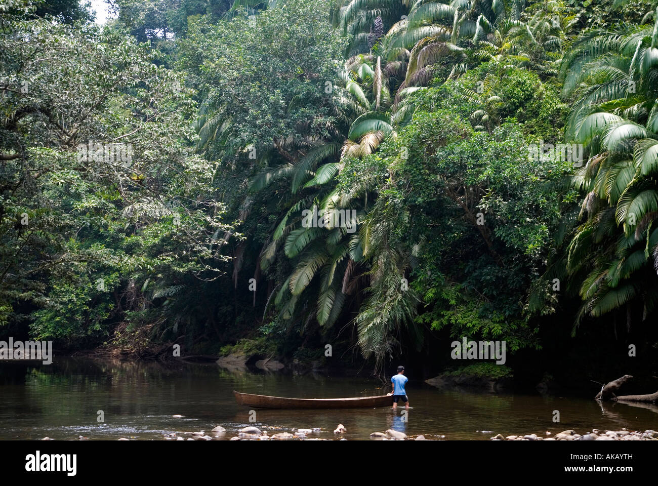 Rivière de Bornéo Banque D'Images