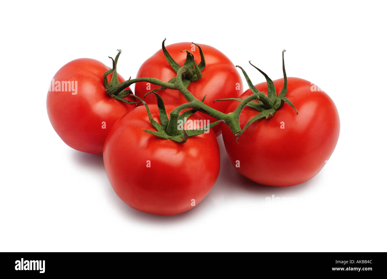 Les tomates mûries sur vigne Banque D'Images