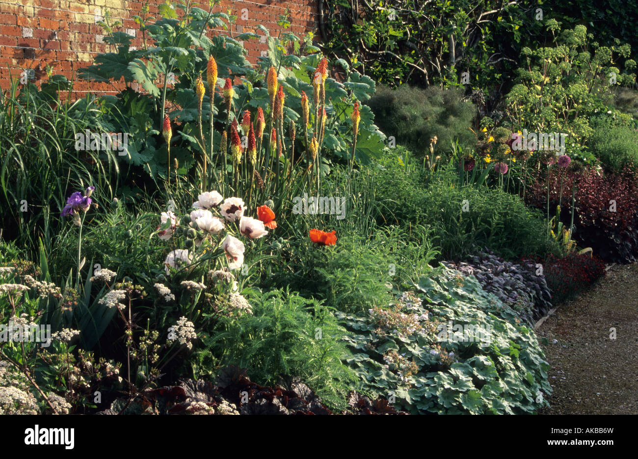 Jardin privé conception Hampshire Barbara Hunt de vivaces en été Kniphofia Banque D'Images