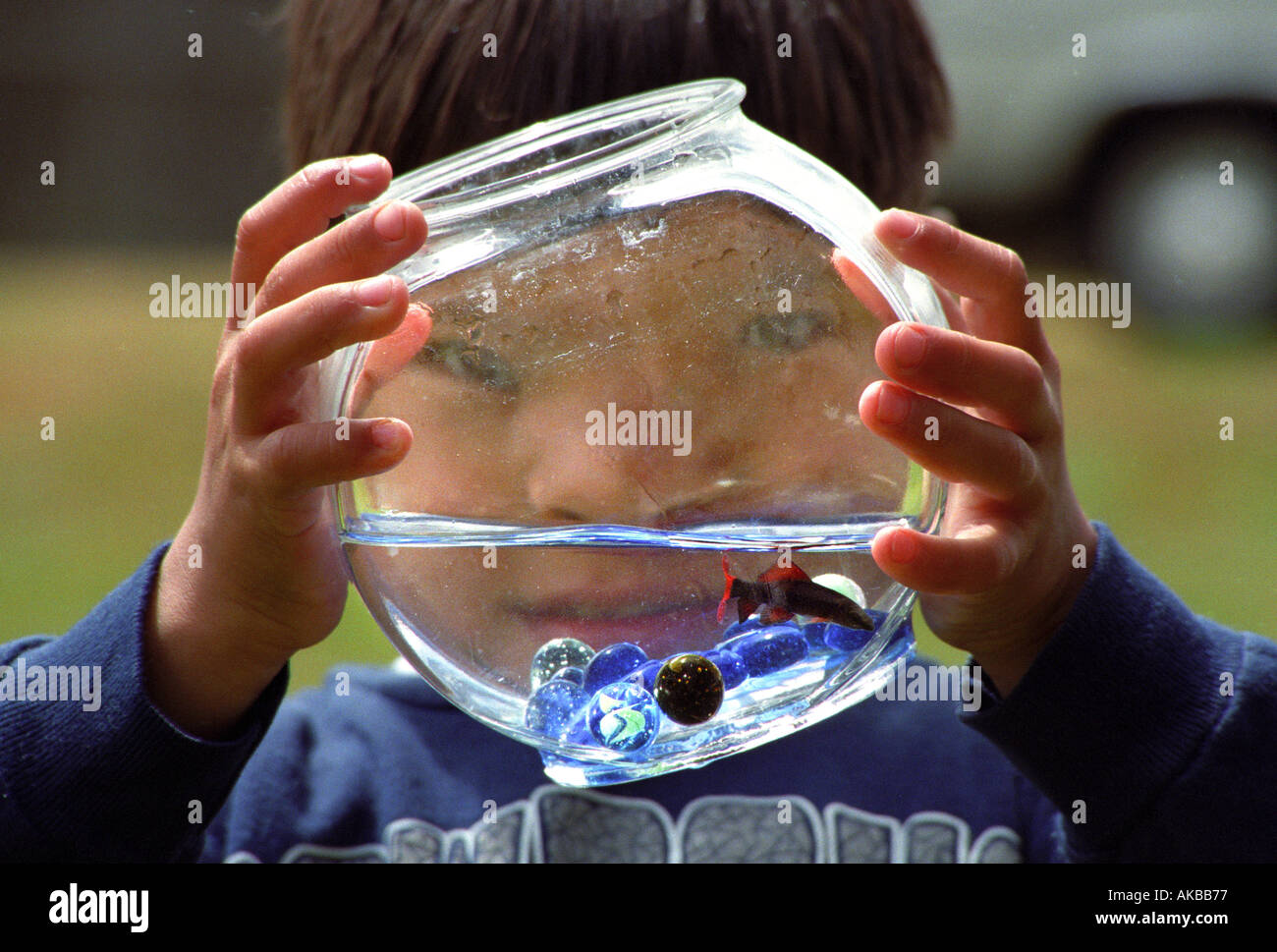 Boy holding fishbowl en face de visage Banque D'Images