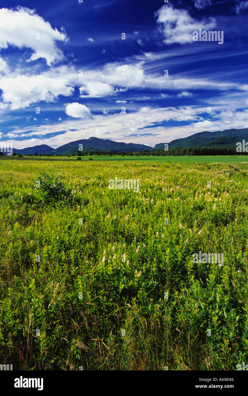 Parc des Adirondacks, Adirondacks, New York, United States Banque D'Images