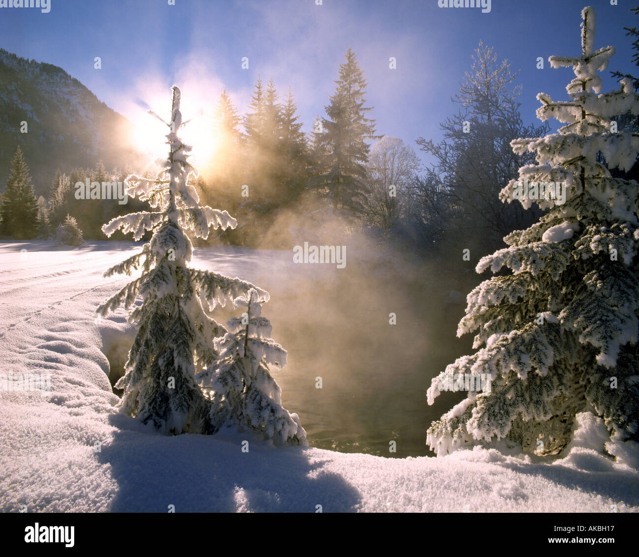 DE - La Bavière : Winterscene près d'Ettal Banque D'Images
