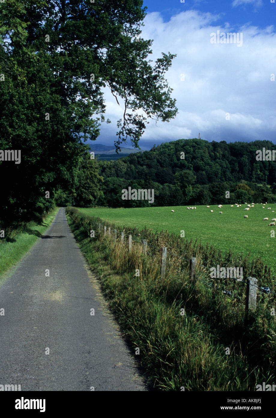 Road et de moutons dans le Perthshire, Écosse, Royaume-Uni Banque D'Images