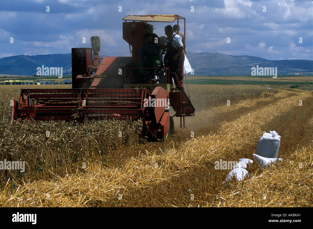 Les agriculteurs kosovars travaillant dans le domaine Banque D'Images
