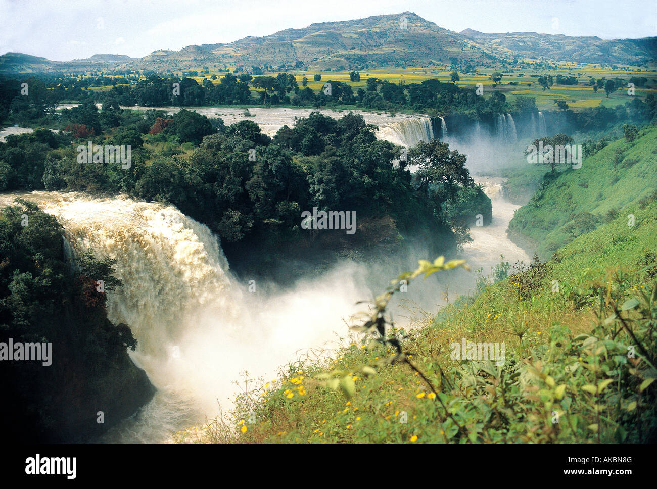 Chutes du Nil bleu appelé Tis Abay ou Tis Isat ou chutes de Tissisat Bahr Dar Ethiopie Afrique Banque D'Images