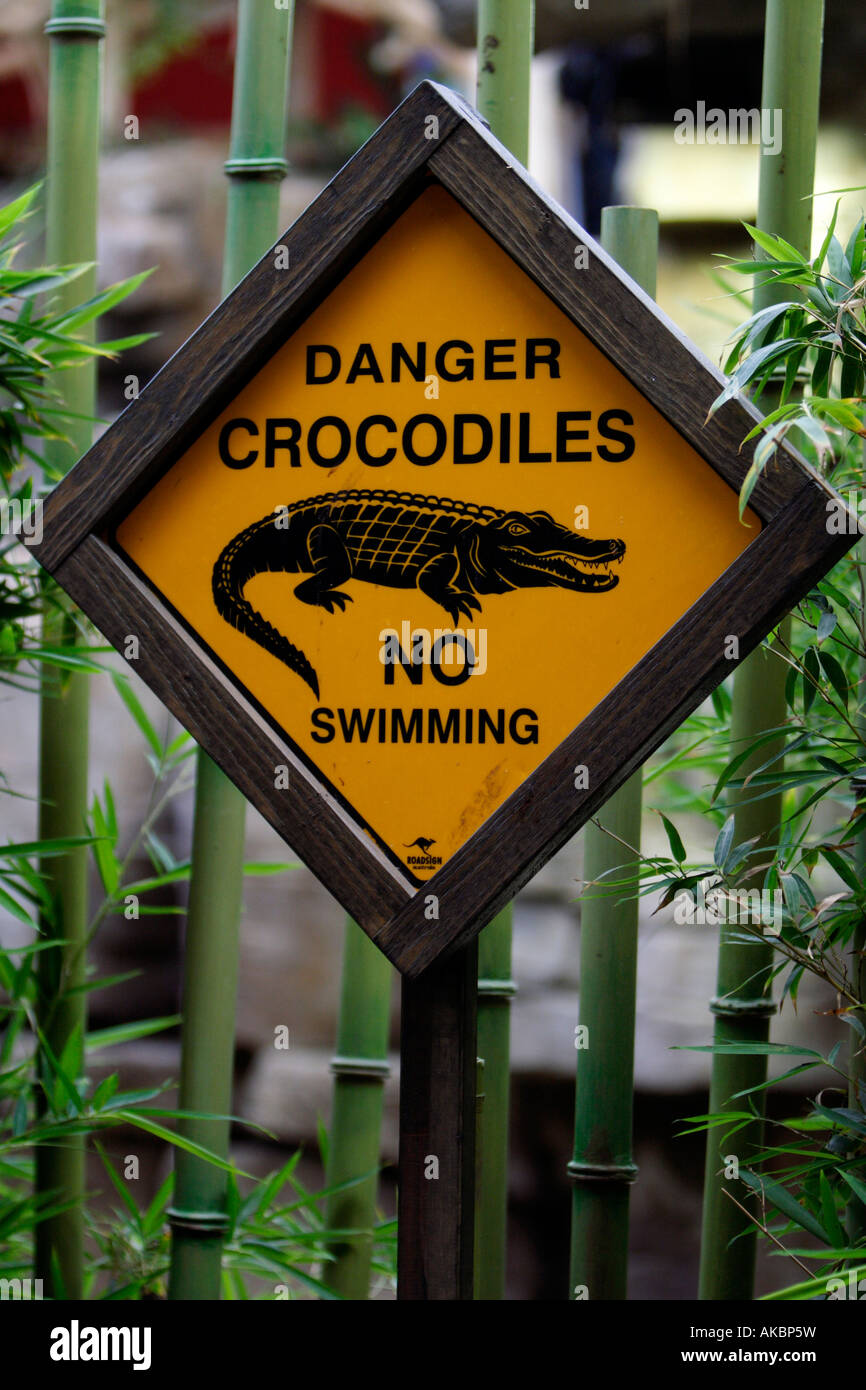 Aucun signe de danger Crocodiles Natation est vu dans l'Aquarium Tropical Hagenbeck à Hambourg, Allemagne Banque D'Images
