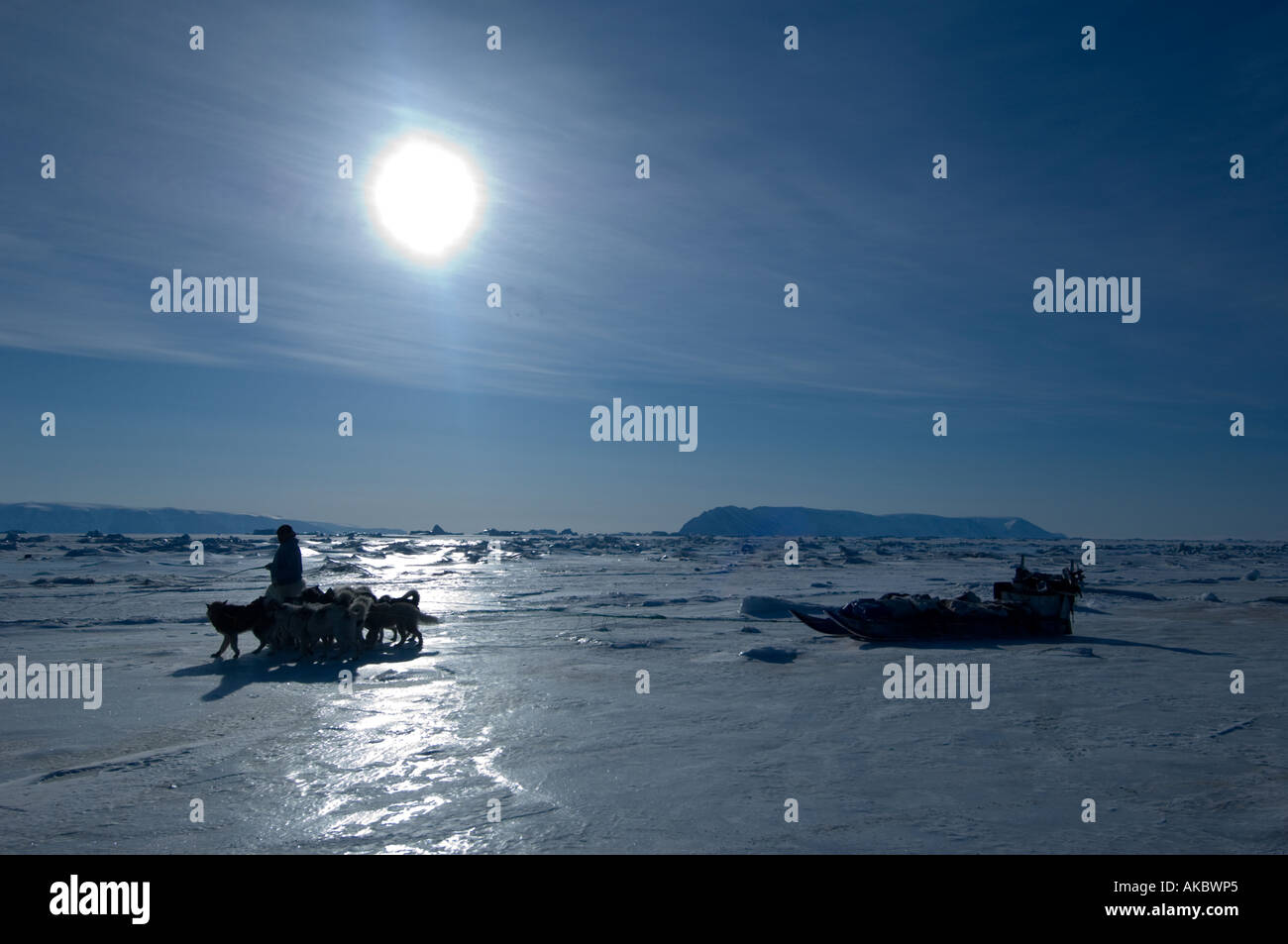 Qaanaaq Groenland Avril 2006 chasseur inuit menant ses chiens sur la glace. Soleil de Minuit Banque D'Images