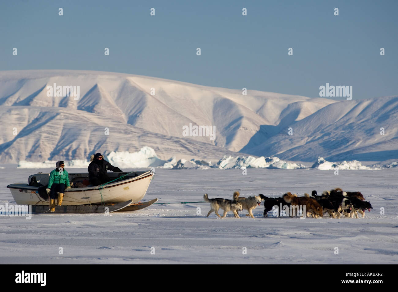 Qaanaaq Groenland Gédéon Au printemps les chasseurs inuits voyager avec un voile sur les traîneaux à lancer lorsqu'ils atteignent le Floe Edge Banque D'Images