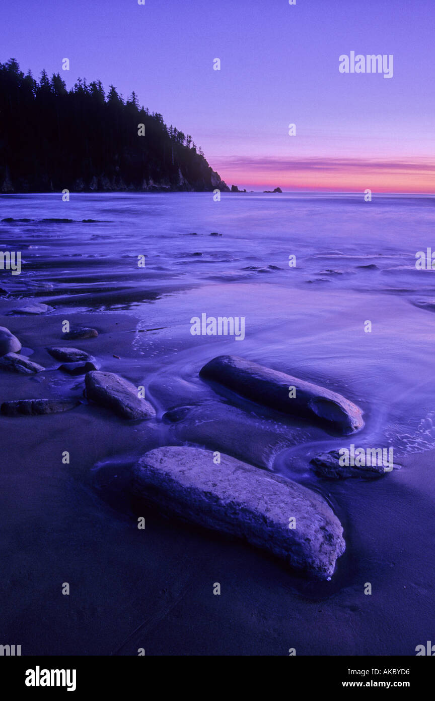 Twilight à courte Sands Beach, Oswald West State Park, New York USA Banque D'Images