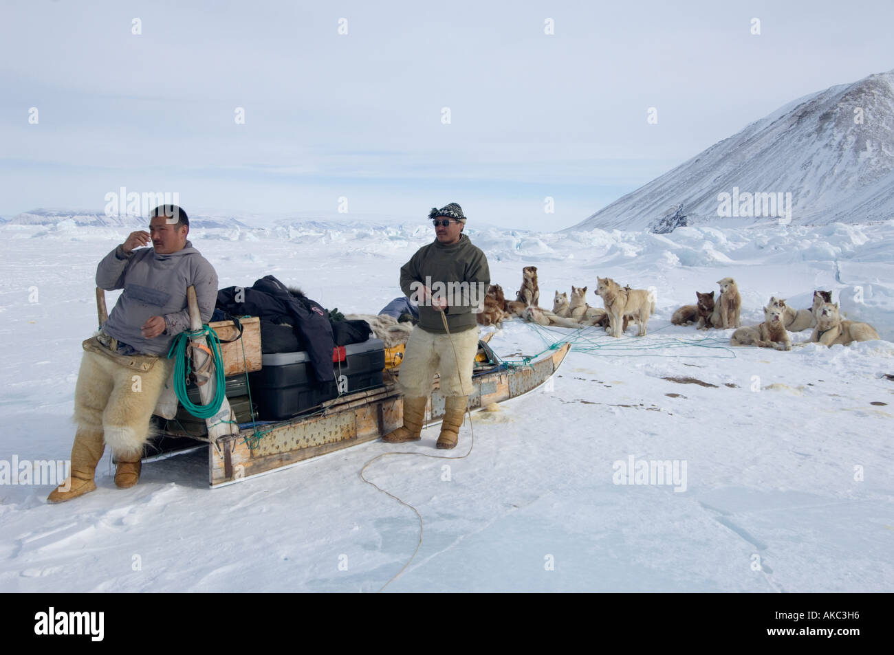 Qaanaaq Groenland Avril 2006 prendre une pause thé et un repos pour les chiens Banque D'Images