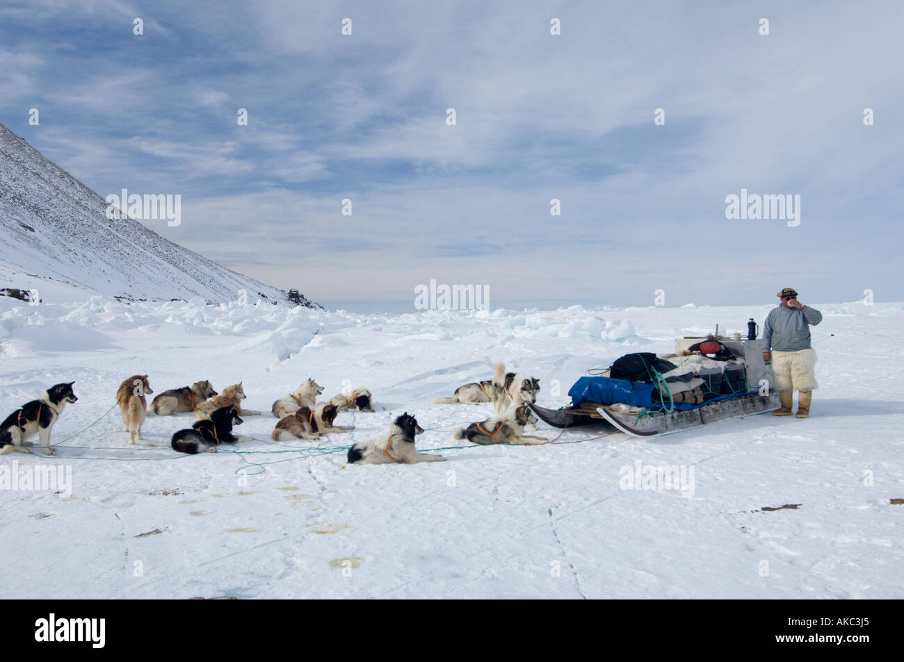 Qaanaaq Groenland Avril 2006 prendre une pause thé et un repos pour les chiens Banque D'Images