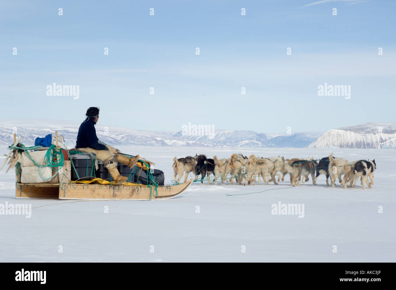 Qaanaaq Groenland Avril 2006 Qulitat avec ses chiens Banque D'Images