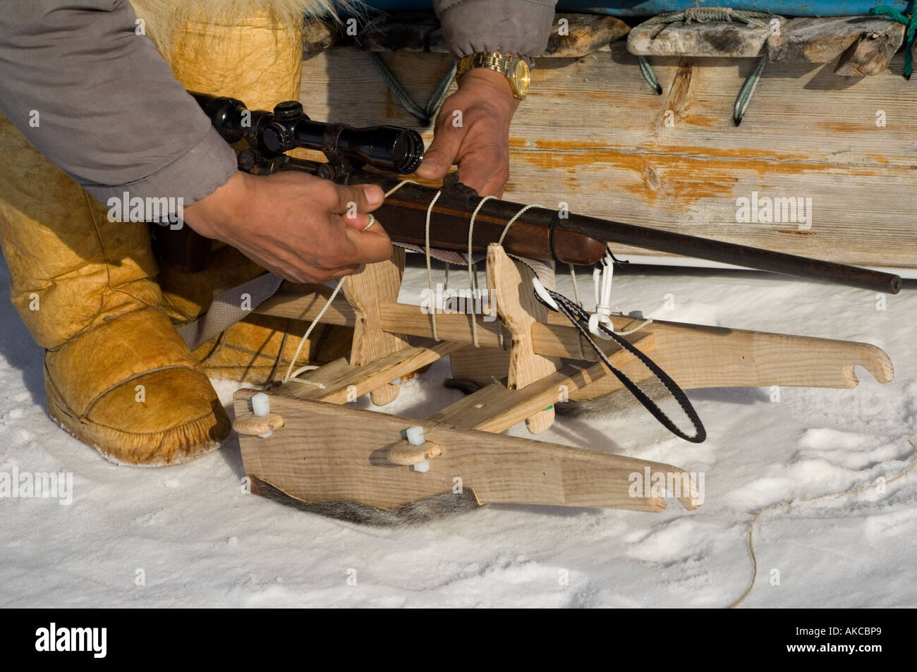 Qaanaaq Avril 2006 La chasse aux phoques du Groenland Banque D'Images