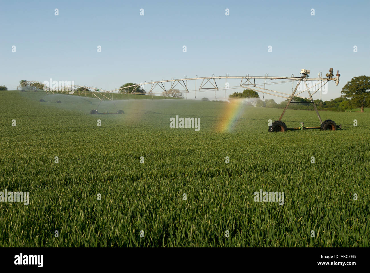 Les irrigateurs mécanisée dans le champ Banque D'Images
