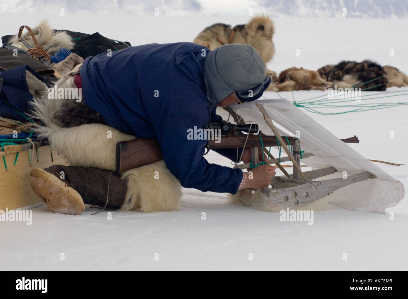 La chasse de subsistance traditionnelle des Inuits pour la chasse au phoque annelé Qaanaaq Groenland Avril 2006 Banque D'Images