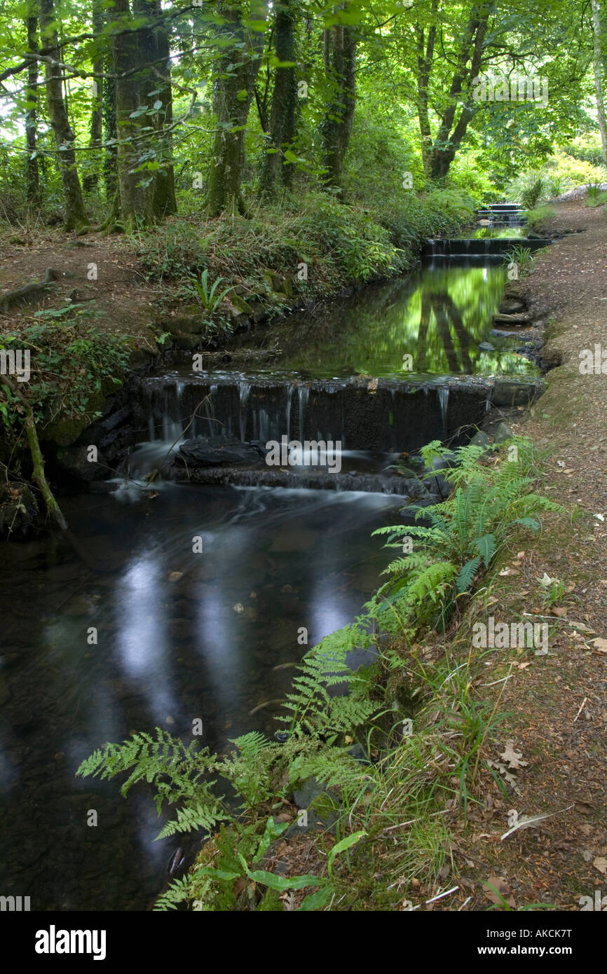 En cours d'tehidy cornwall country park Banque D'Images