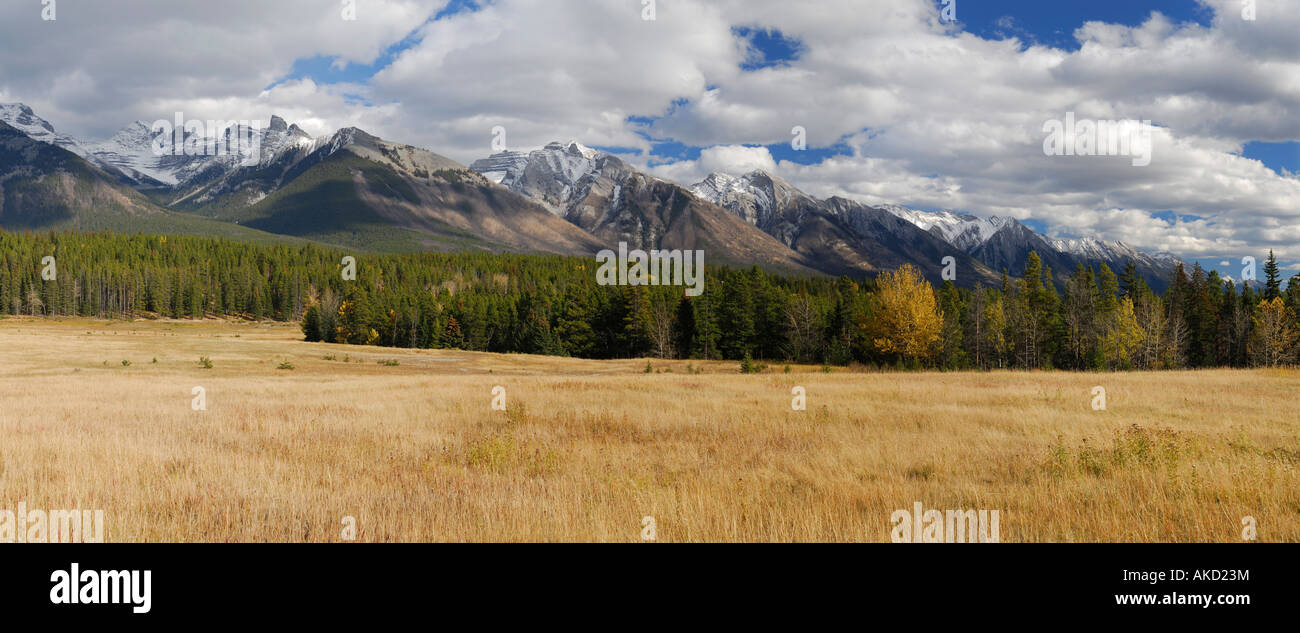 Panorama de montagnes Chaîne Fairholme dans le parc national de Banff Banque D'Images