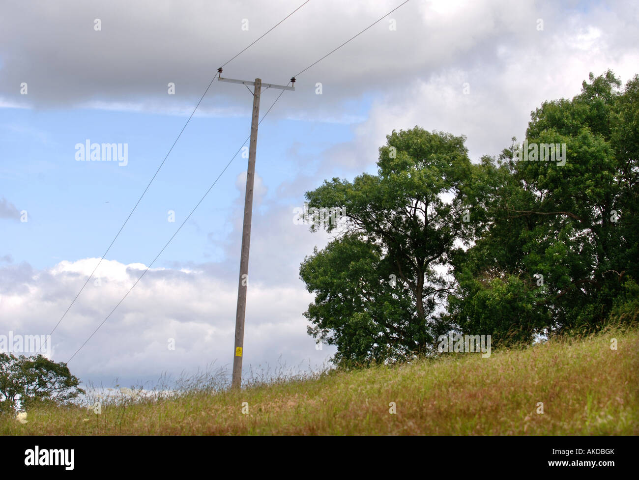 Passage de câbles téléphoniques DANS UN CHAMP HEREFORDSHIRE UK Banque D'Images