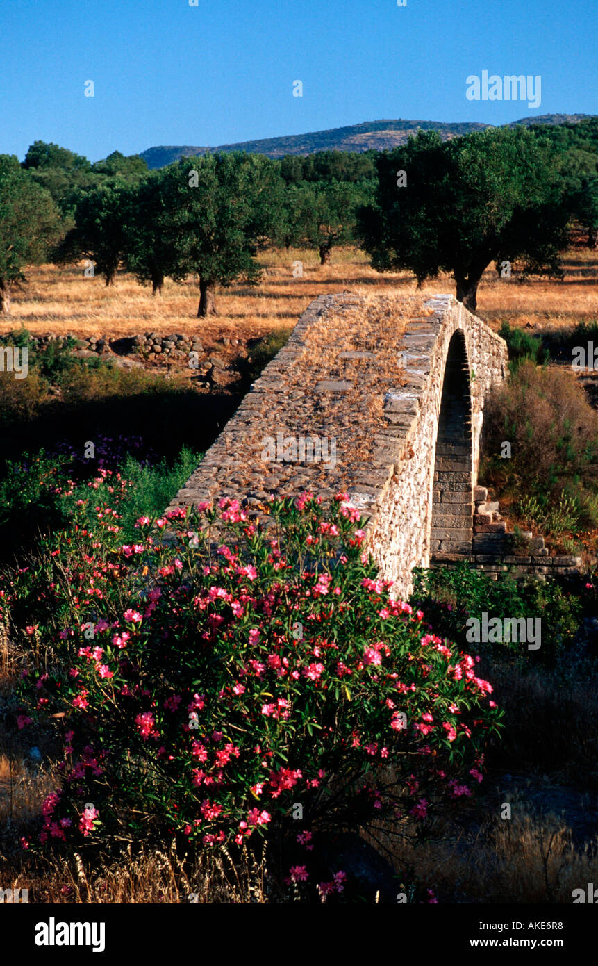 Europa, Griechenland, Lesbos, Agia Paraskevi, genuesische Alte Brücke Kremasti Banque D'Images