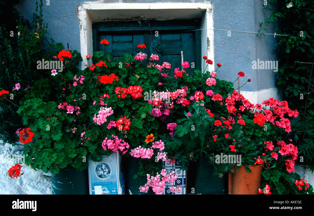 Europa, Griechenland, Lesbos, Km 138, Blumenfenster in der Altstadt Banque D'Images