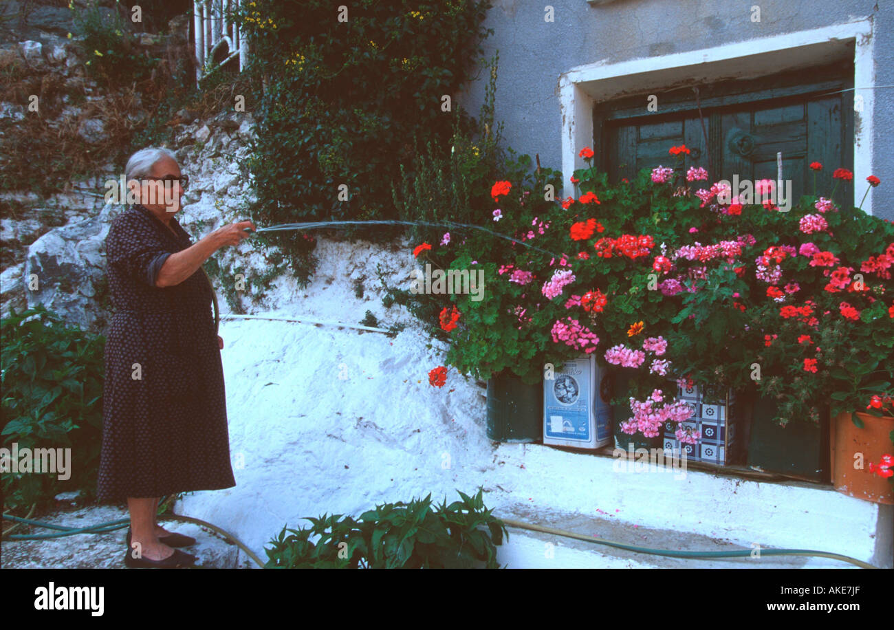 Europa, Griechenland, Lesbos, Km 138, Blumenfenster in der Altstadt Banque D'Images